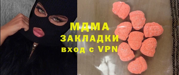 индика Арсеньев