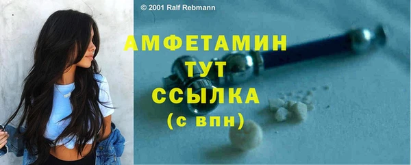 индика Арсеньев