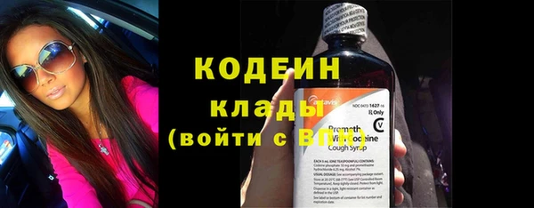индика Арсеньев