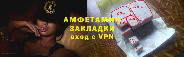 индика Арсеньев