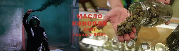 индика Арсеньев