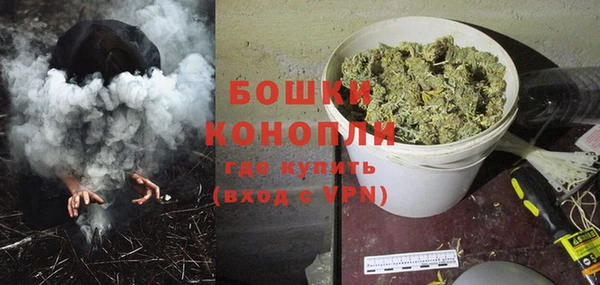 ПСИЛОЦИБИНОВЫЕ ГРИБЫ Балабаново