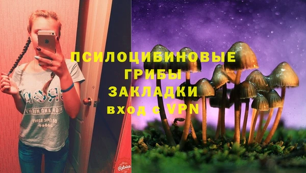 не бодяженный Аркадак