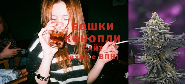 не бодяженный Аркадак