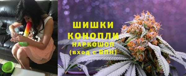 индика Арсеньев