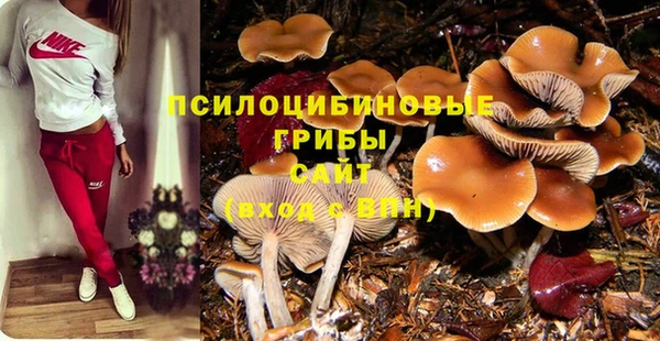 индика Арсеньев