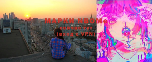 индика Арсеньев