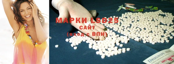 ПСИЛОЦИБИНОВЫЕ ГРИБЫ Балабаново