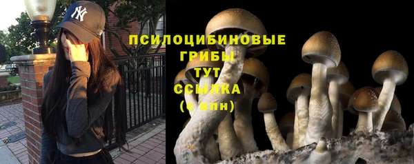 гидра Баксан