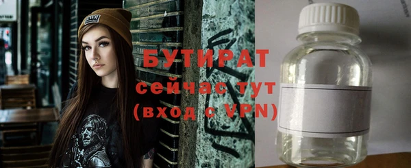 индика Арсеньев