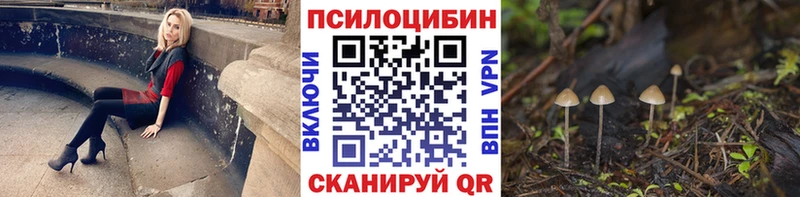 Псилоцибиновые грибы GOLDEN TEACHER  Куртамыш 
