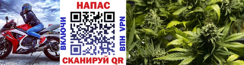 Канабис Amnesia  Куртамыш 